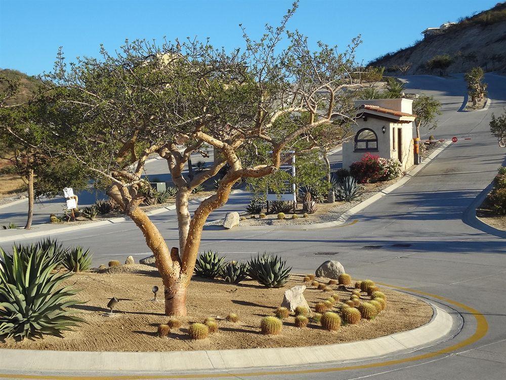 Cabo Marina Beach Condos Cabo San Lucas Zewnętrze zdjęcie