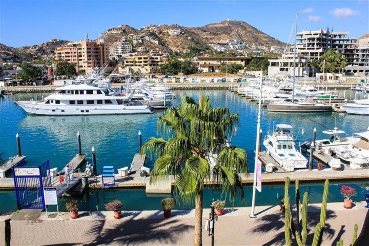 Cabo Marina Beach Condos Cabo San Lucas Zewnętrze zdjęcie